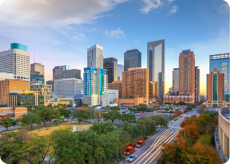 Cost of Sinus Surgery in Houston, TX Bg