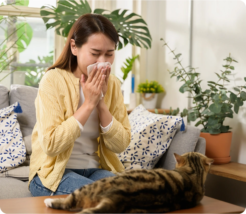 Cat Allergy San Mateo CA Is a Common Condition Banner
