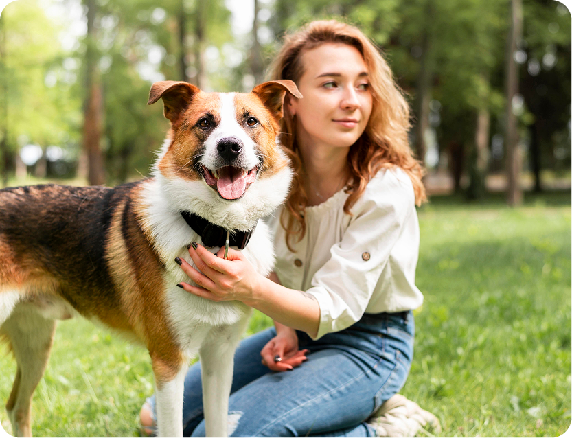 Dog Allergy Treatment in San Mateo, CA Banner