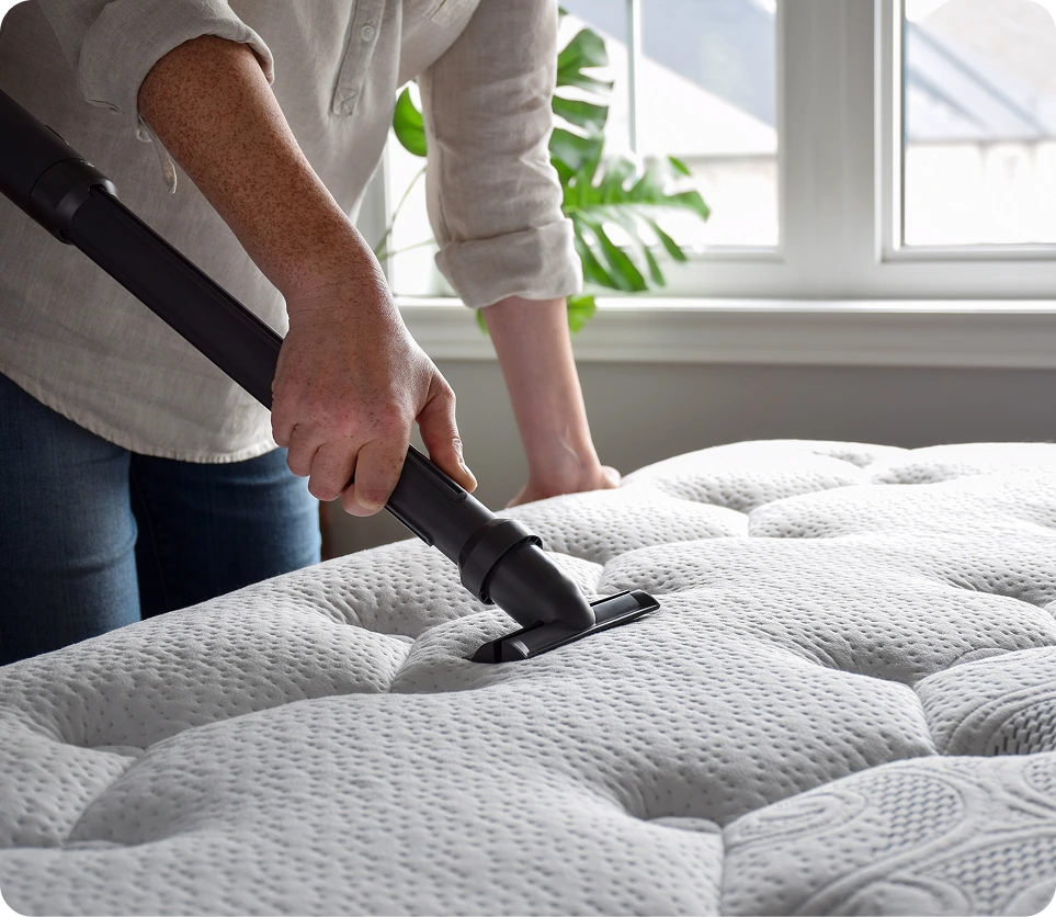 What Is a Dust Mite Treatment in San Mateo, CA Banner