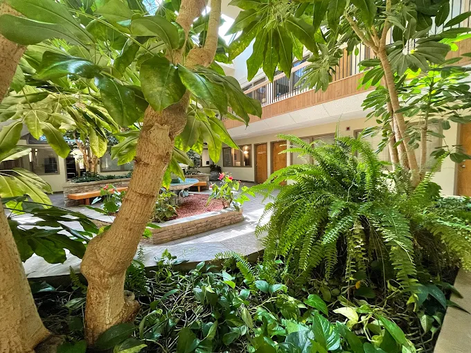 Atrium interior with tropical plants, wooden benches, and office doors surrounding the space
