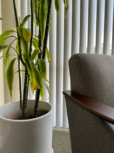 Potted plant on windowsill next to gray upholstered chair with vertical blinds