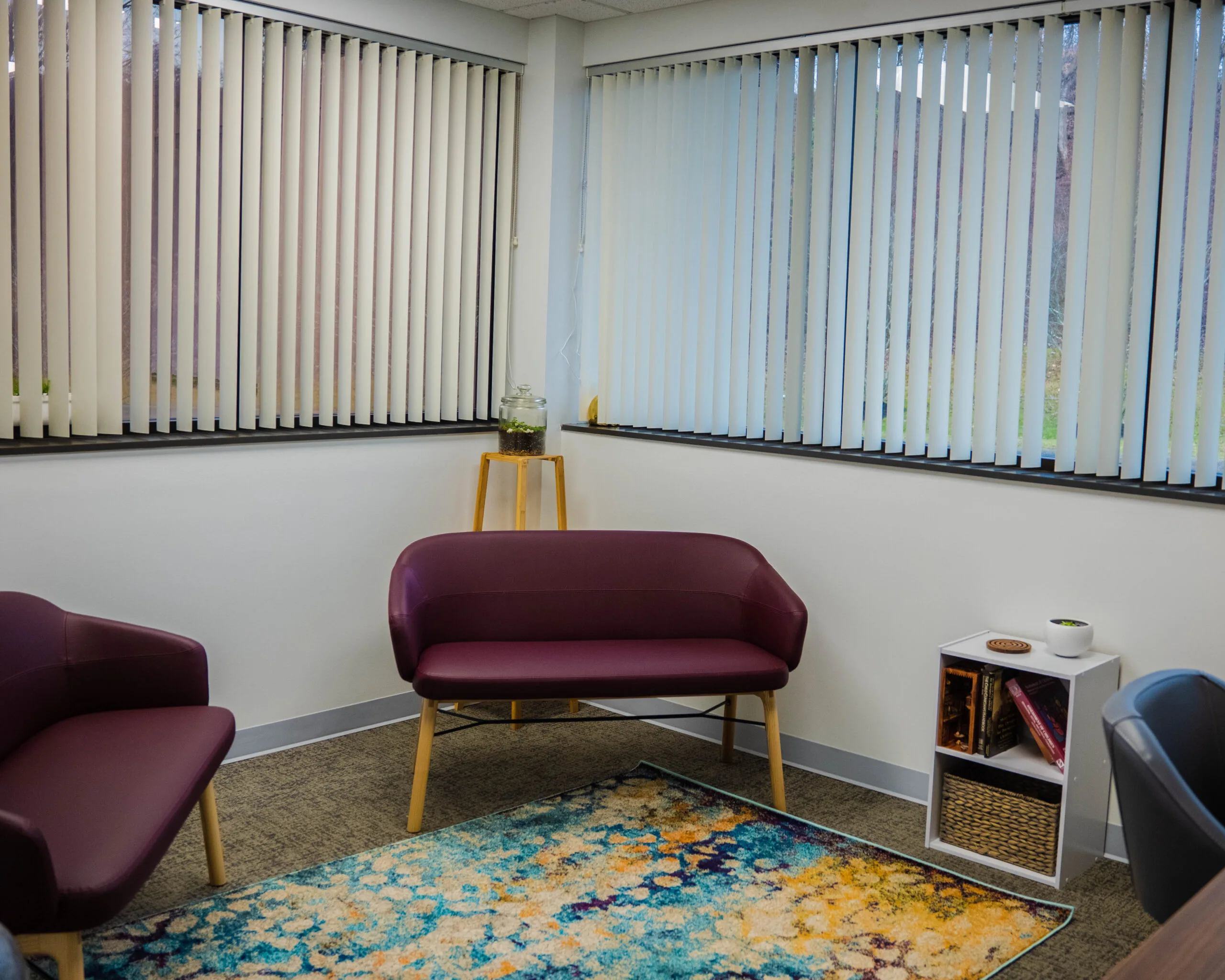 Waiting room with burgundy sofa and armchair, colorful rug, small table with plant, and white vertical blinds