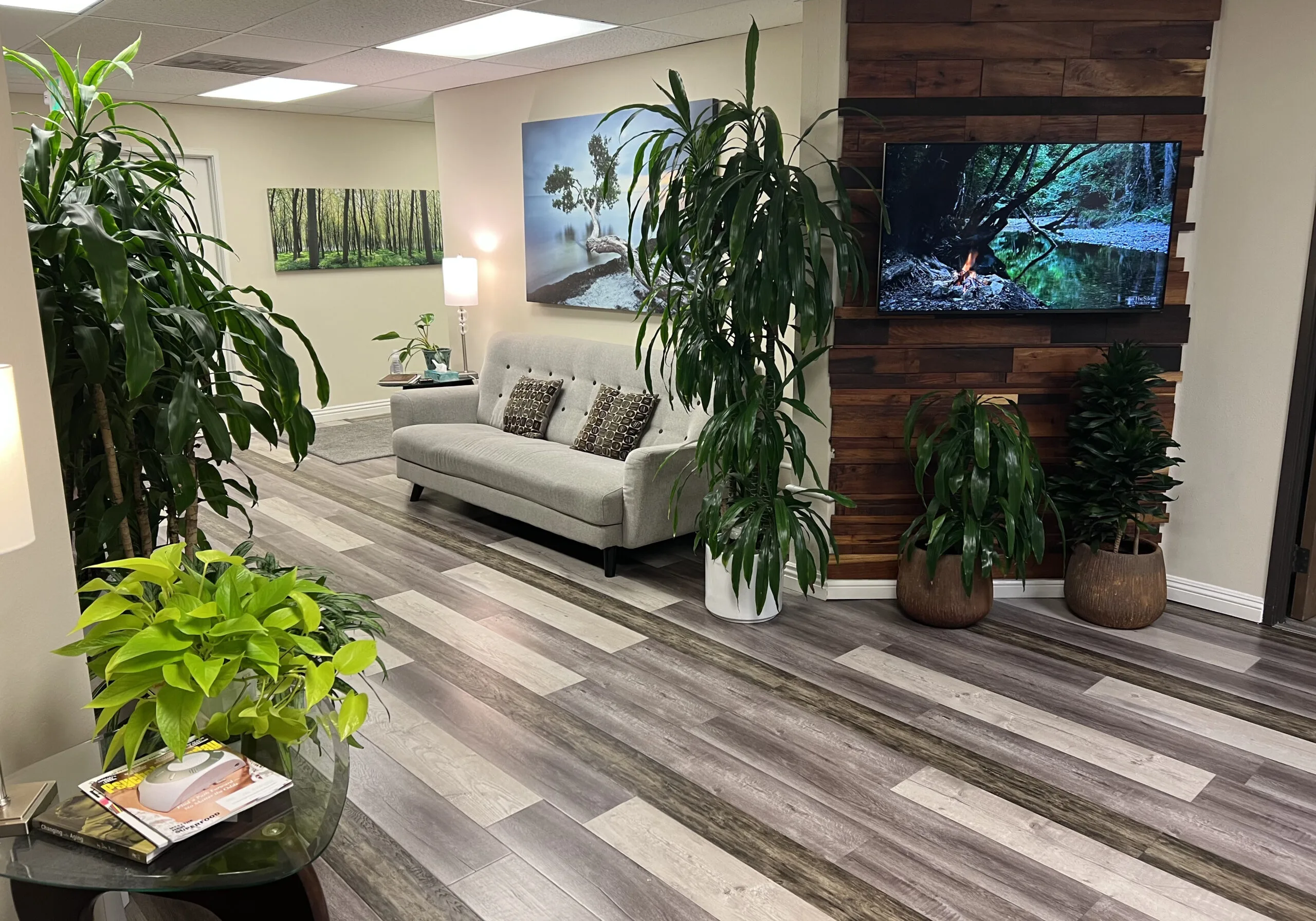 Modern waiting room with white sofa, potted plants, nature artwork, and wood-accent wall