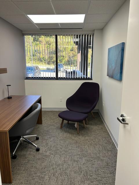 Private office with wooden desk, black ergonomic chair, and modern lounge chair facing large windows