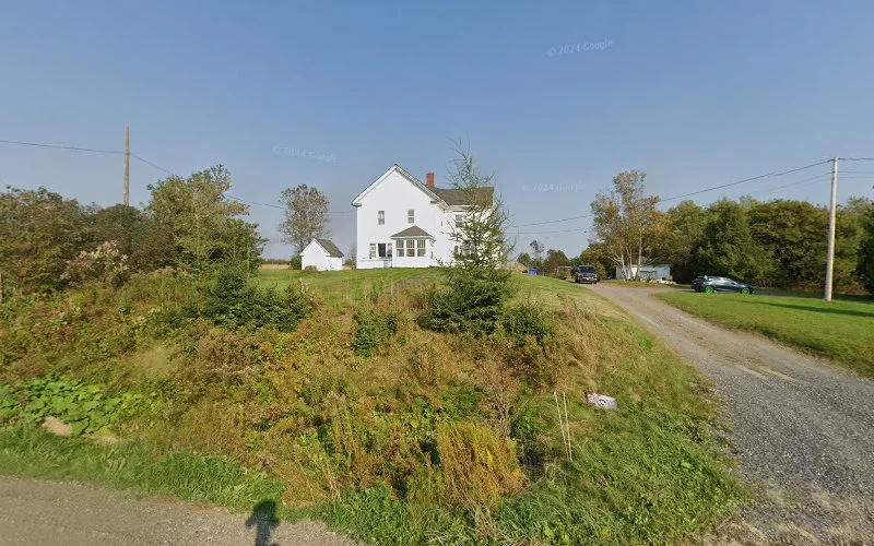 White farmhouse with brick chimney on rural road surrounded by vegetation