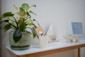Potted plant on shelf in clinical waiting area