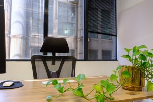 Professional desk with desktop chair, computer mouse, trailing green plants in gold planter, and city skyline view through windows
