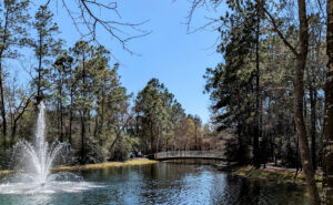 family-psychiatry-of-the-woodlands-photo.jpg