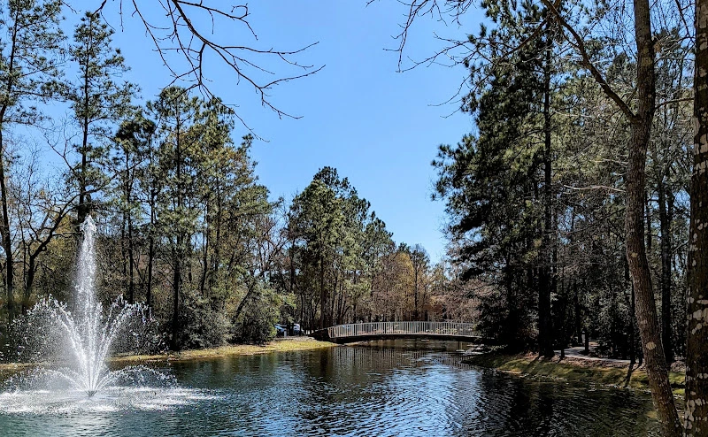 Fountain in pond surrounded by tall pine trees and wooden bridge