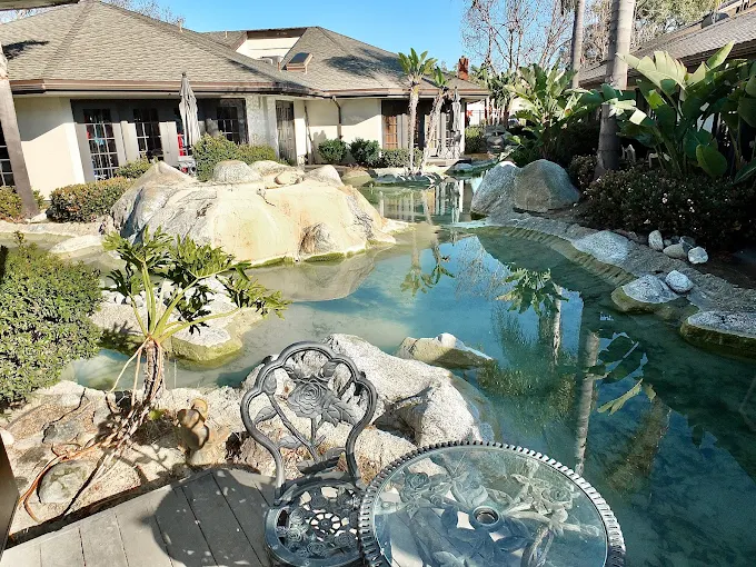Tranquil garden with koi pond, rocks, tropical plants, and residential building backdrop