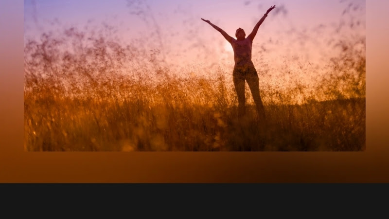 Person with arms raised standing in a golden field at sunset