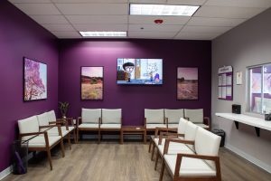Reception area with purple walls, wooden chairs with cream cushions, landscape artwork, and information desk