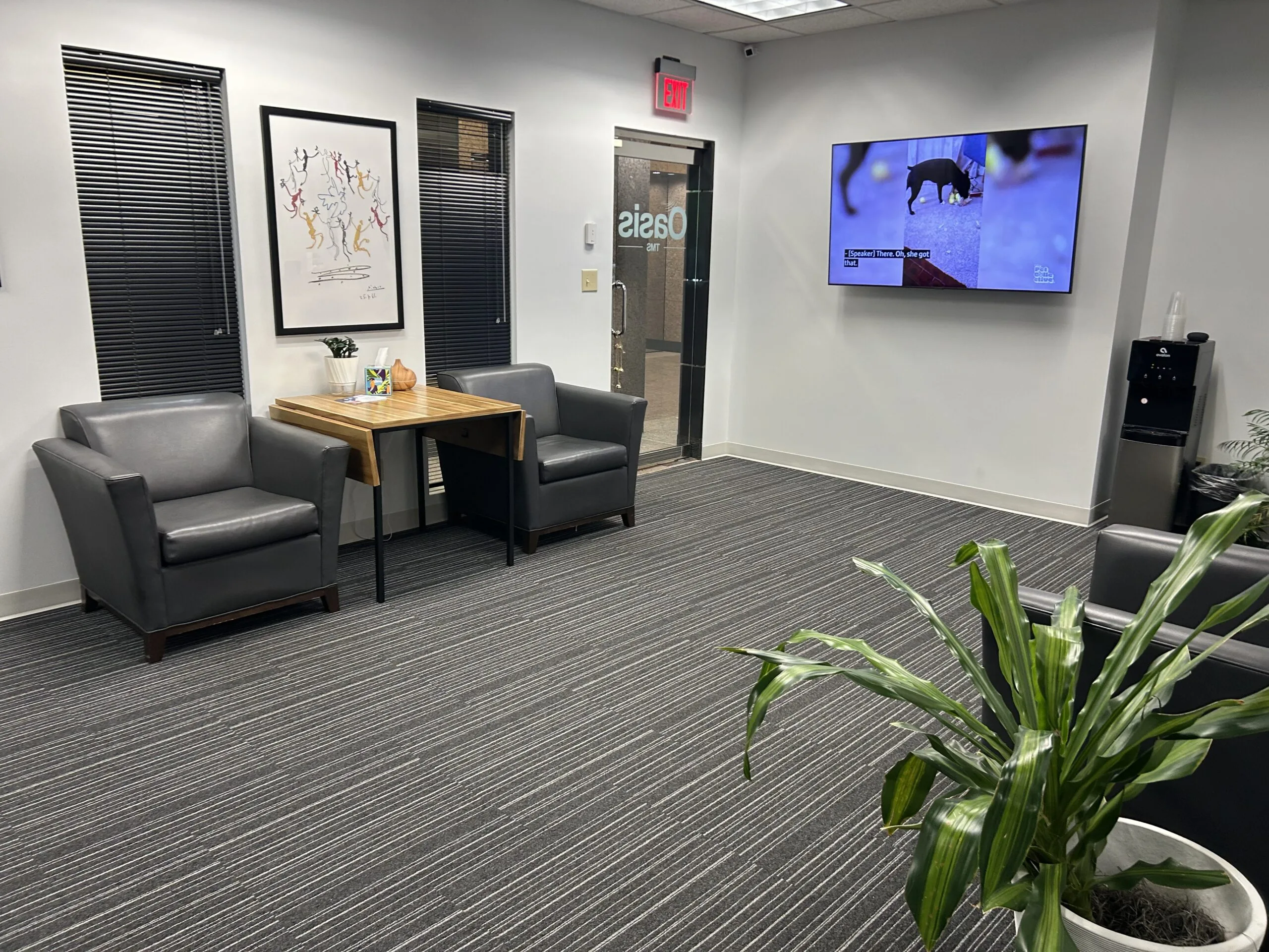 Waiting room with gray leather chairs, wooden table, framed artwork, TV screen, and plant