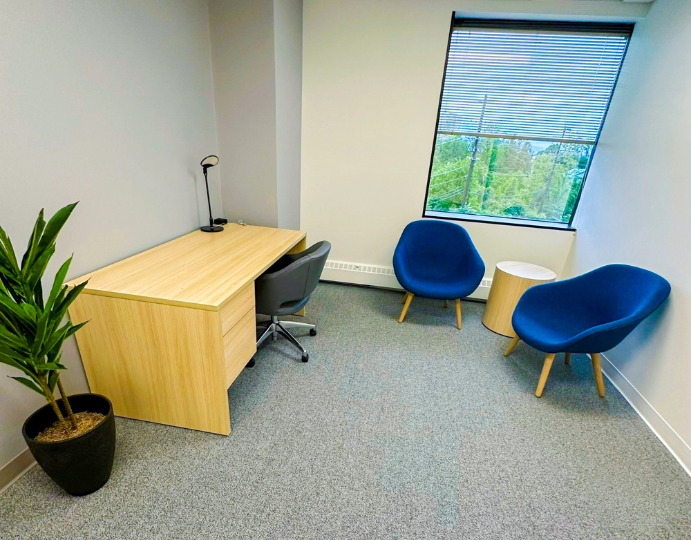 Rockville office consultation room with wooden desk, blue accent chairs, potted plant, and large window