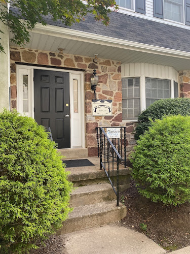 Stone facade entrance with black door, metal railing, and manicured shrubs flanking the walkway