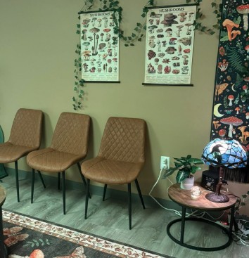 Waiting room with three tan chairs, green walls decorated with plant posters and climbing ivy