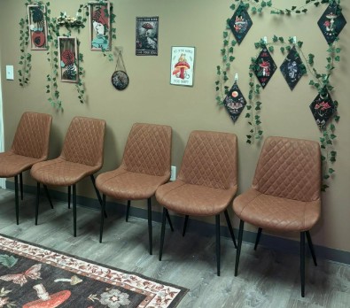 Waiting area with five tan chairs against green wall covered with hanging botanical and celestial artwork