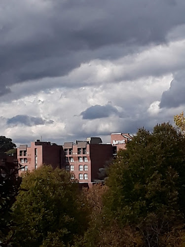 Multi-story residential or medical building viewed through trees against cloudy sky