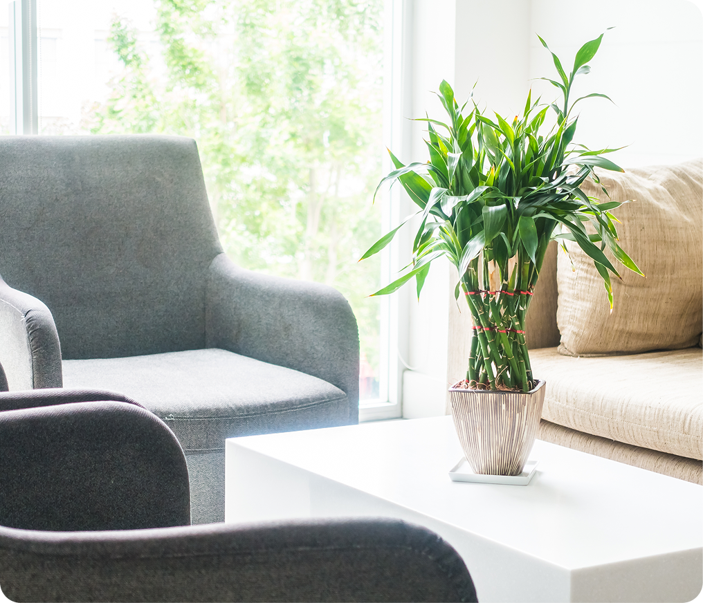 Receive Mental Health Care at Vibrant Life Therapy Clinic in IMAGE - Vibrant Life Therapy