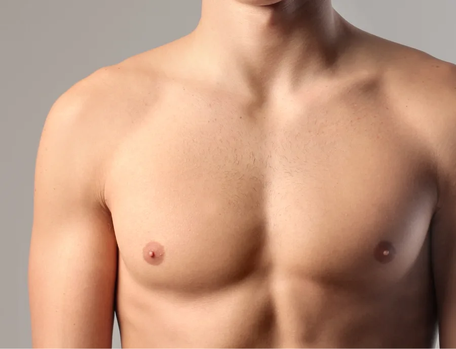Male torso showing chest and abdominal musculature