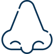 BULBOUS NOSE Banner
