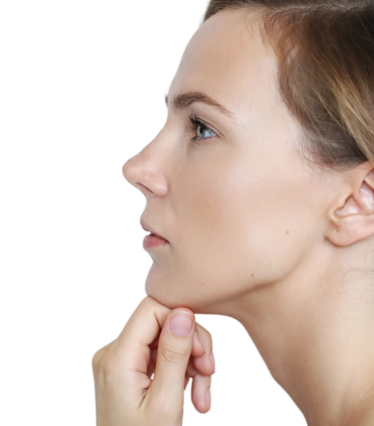 Characteristics of Bulbous Nose Banner
